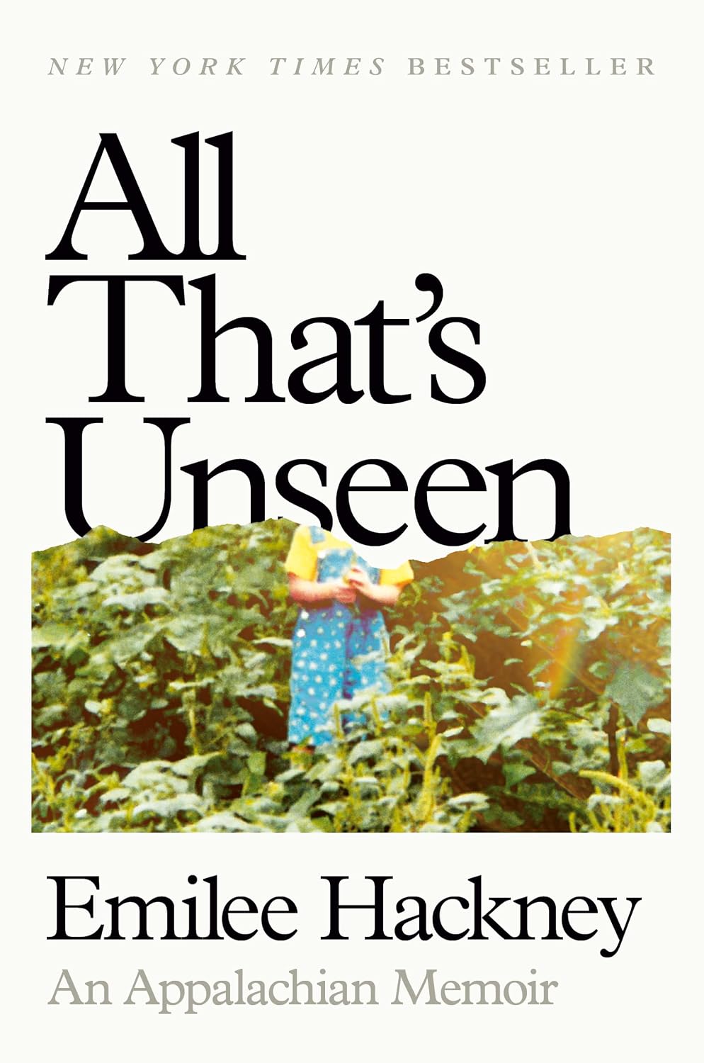 All That’s Unseen by Emilee Hackney book cover