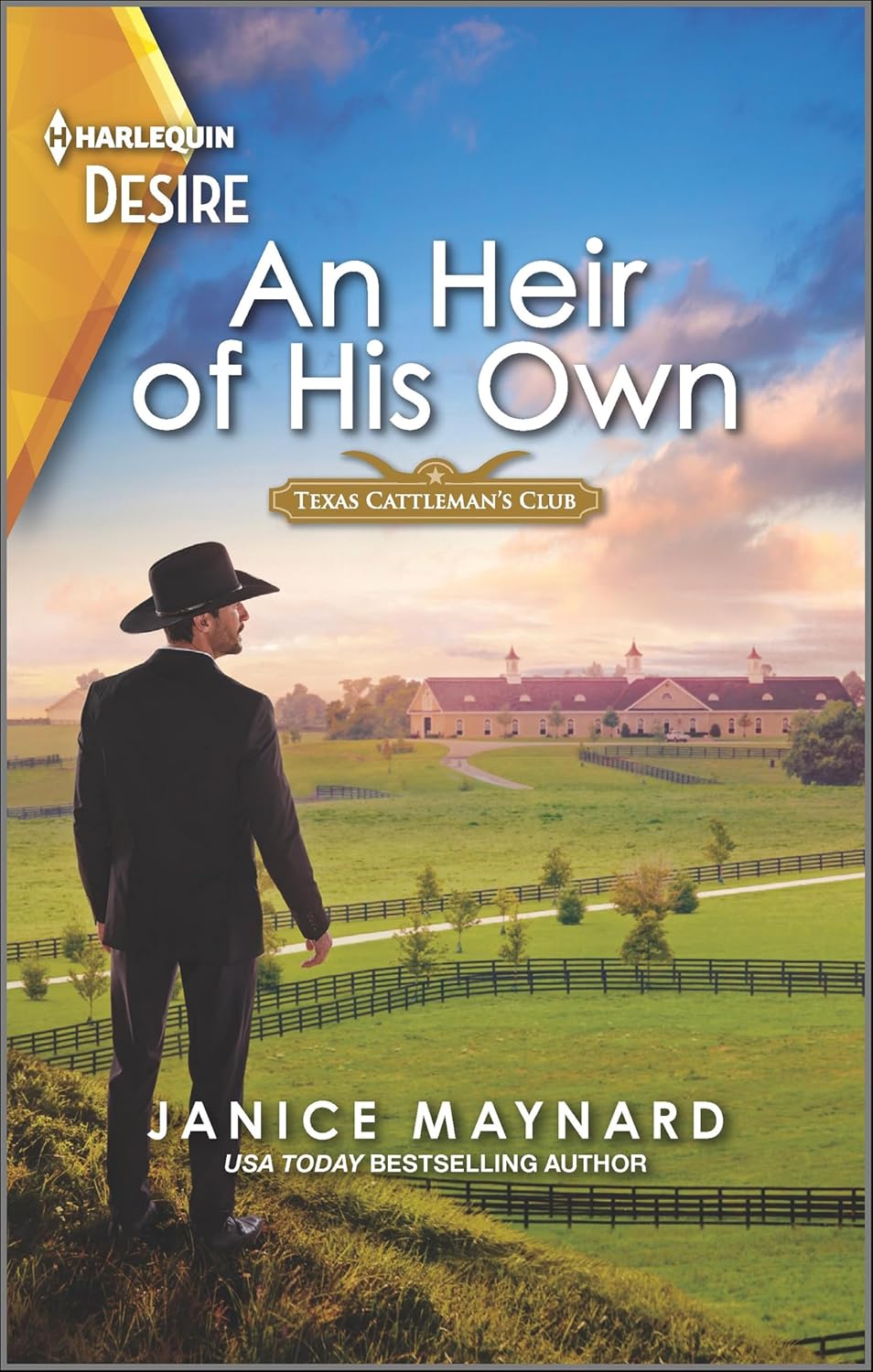 An Heir of His Own by Janice Maynard book cover