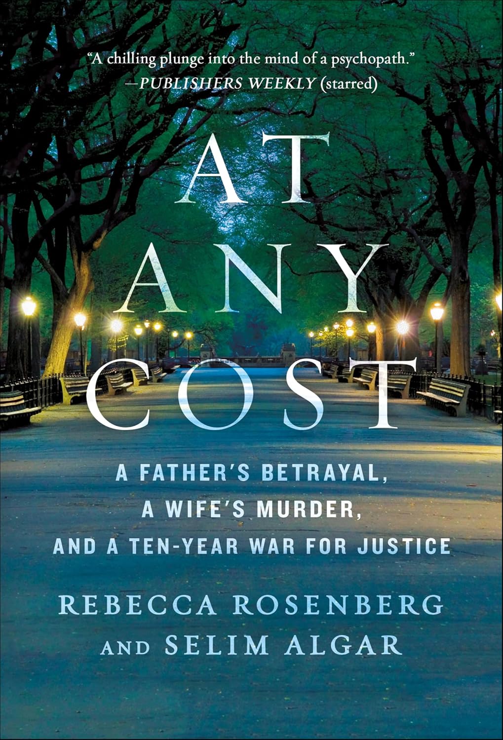 At Any Cost by Rebecca Rosenberg book cover