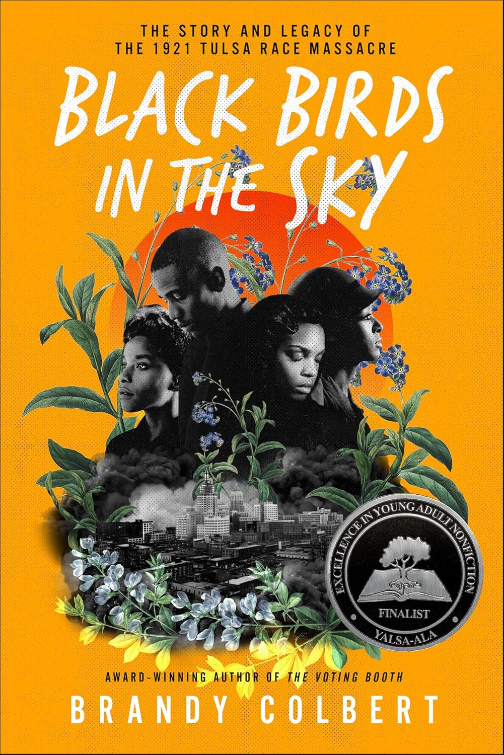 Black Birds in the Sky by Brandy Colbert book cover