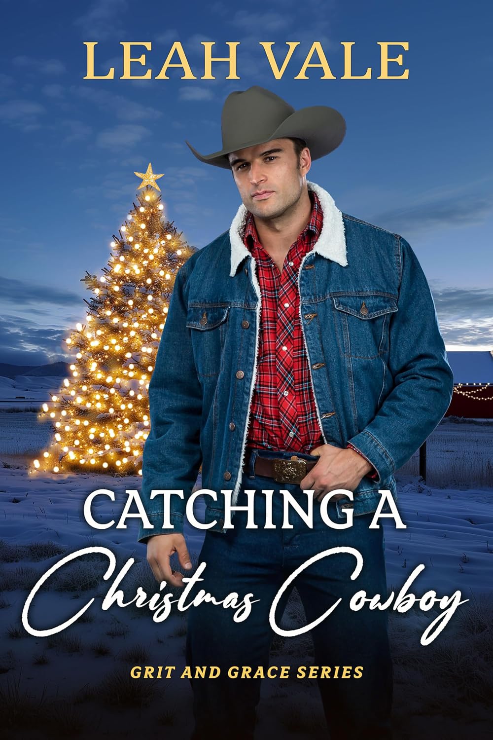 Catching a Christmas Cowboy by Leah Vale book cover