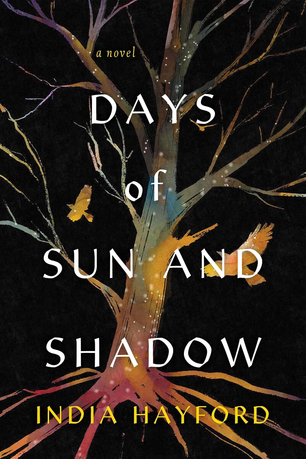 Days of Sun and Shadow by India Hayford book cover