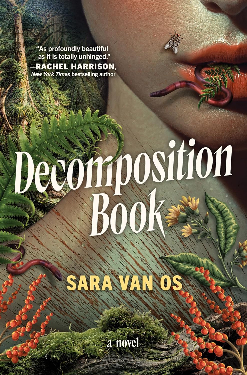 Decomposition Book by Sara van Os book cover