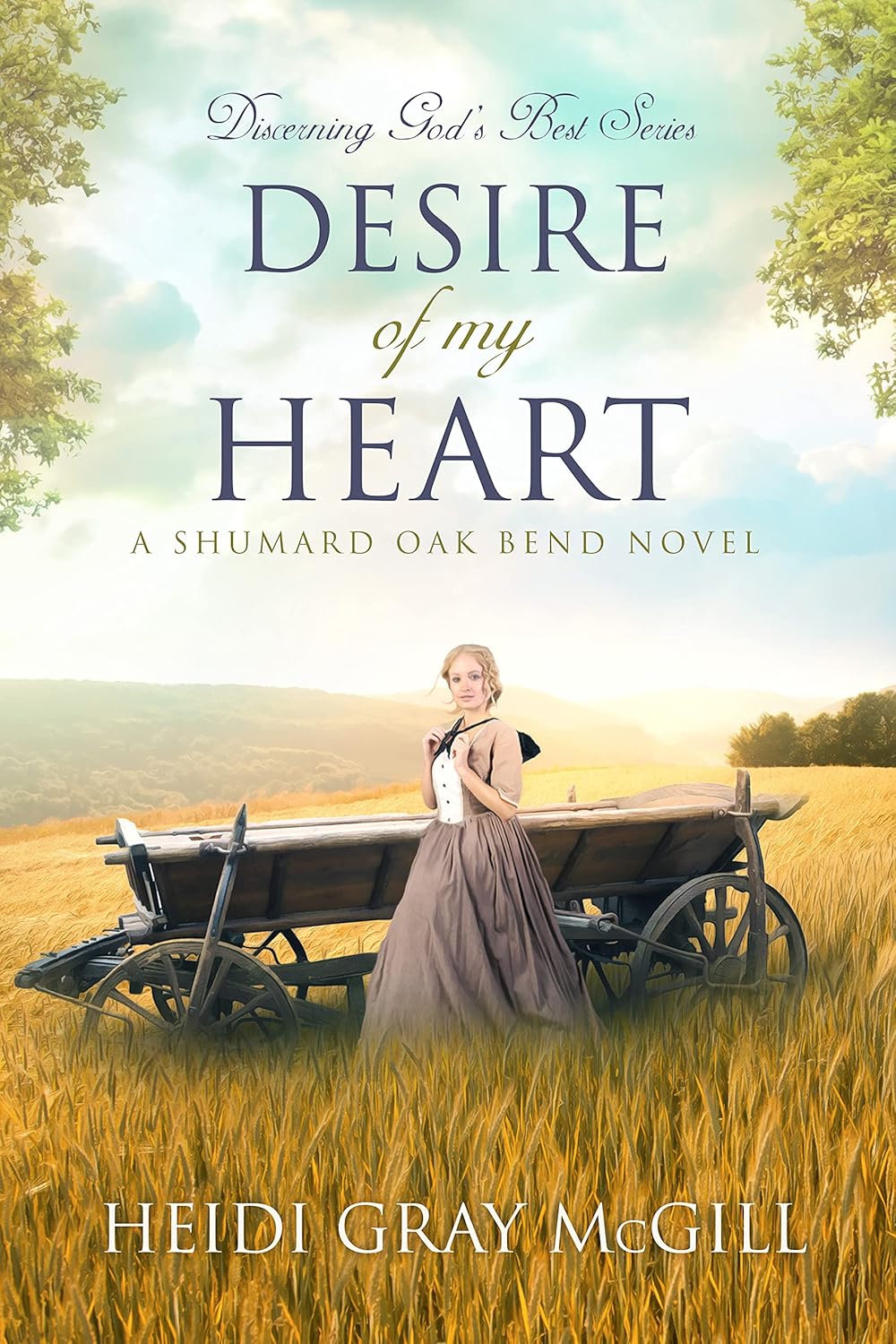 Desire of My Heart by Heidi Gray McGill book cover