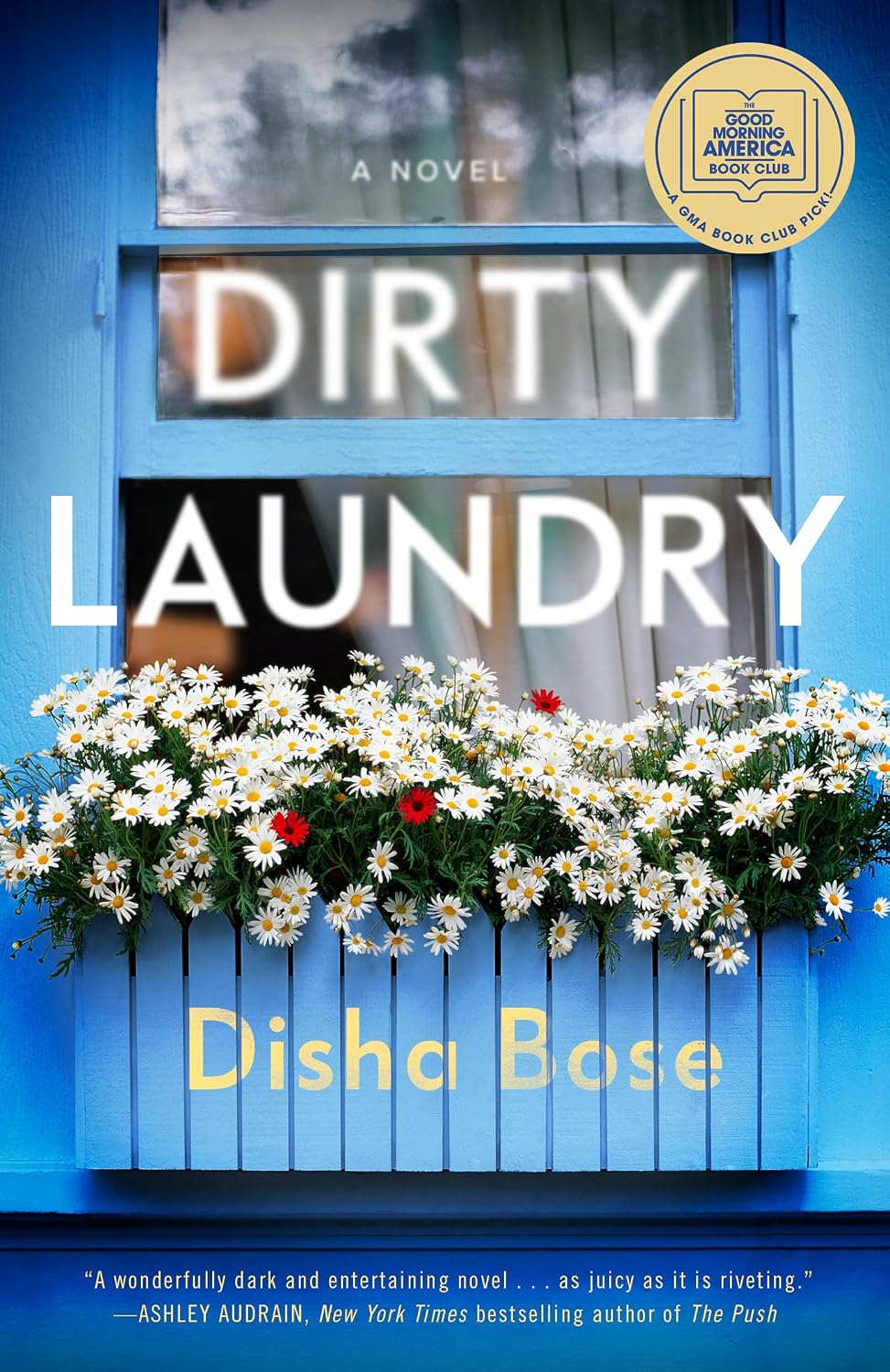 Dirty Laundry by Disha Bose book cover