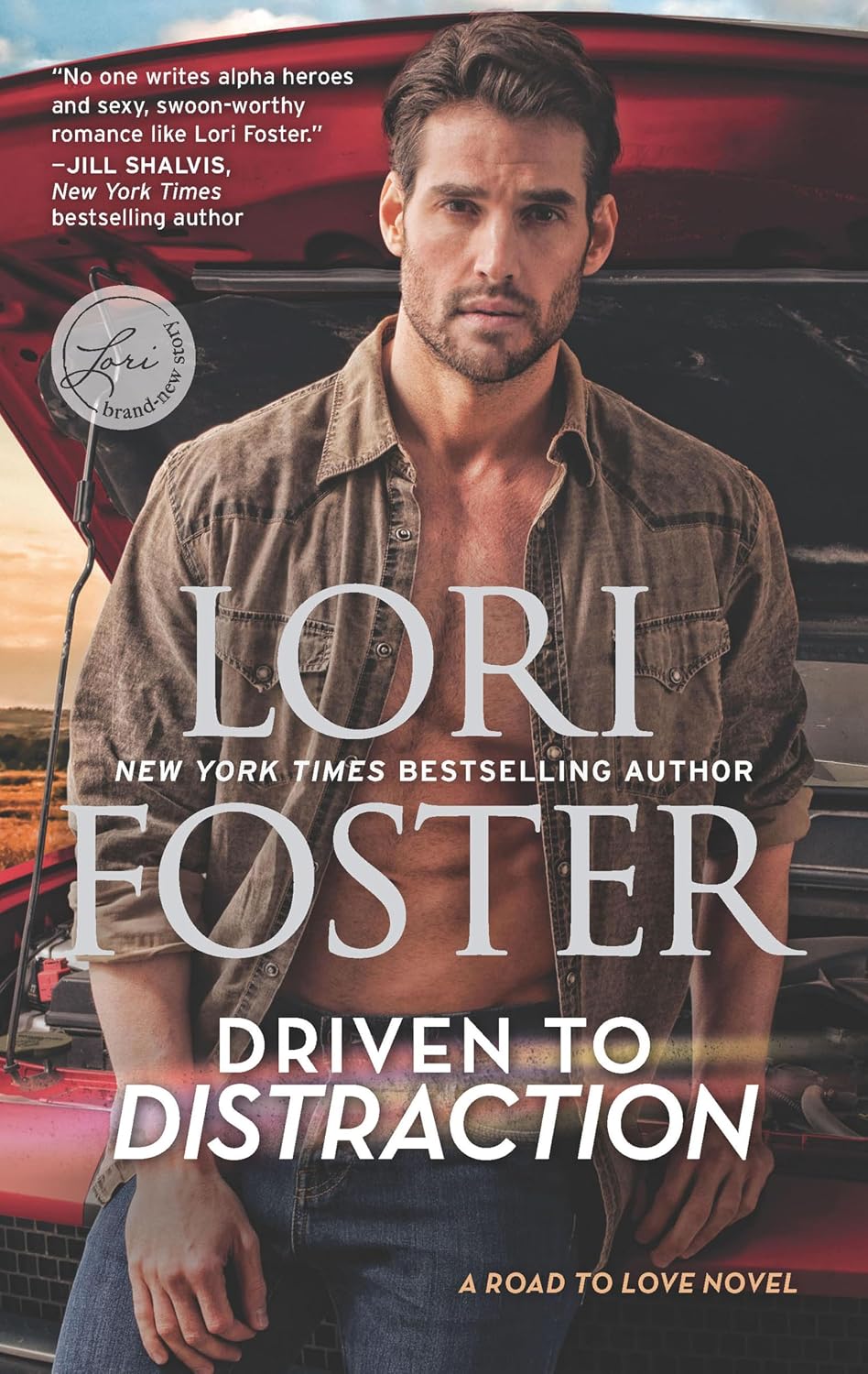 Driven to Distraction by Lori Foster book cover