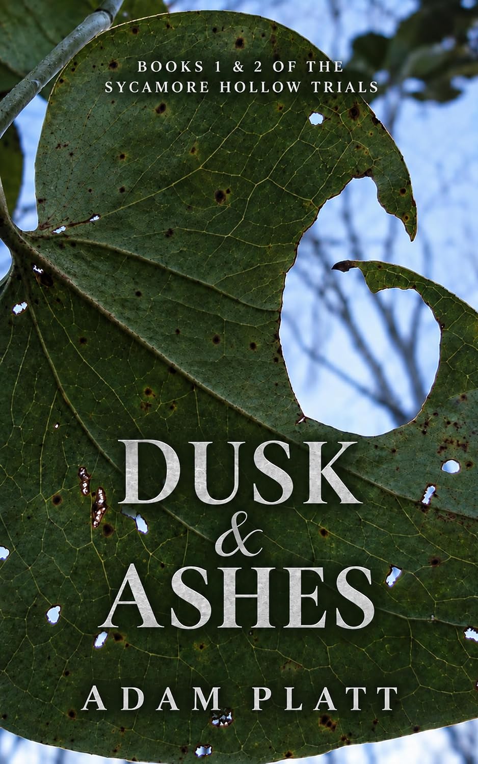 Dusk & Ashes by Adam Platt book cover