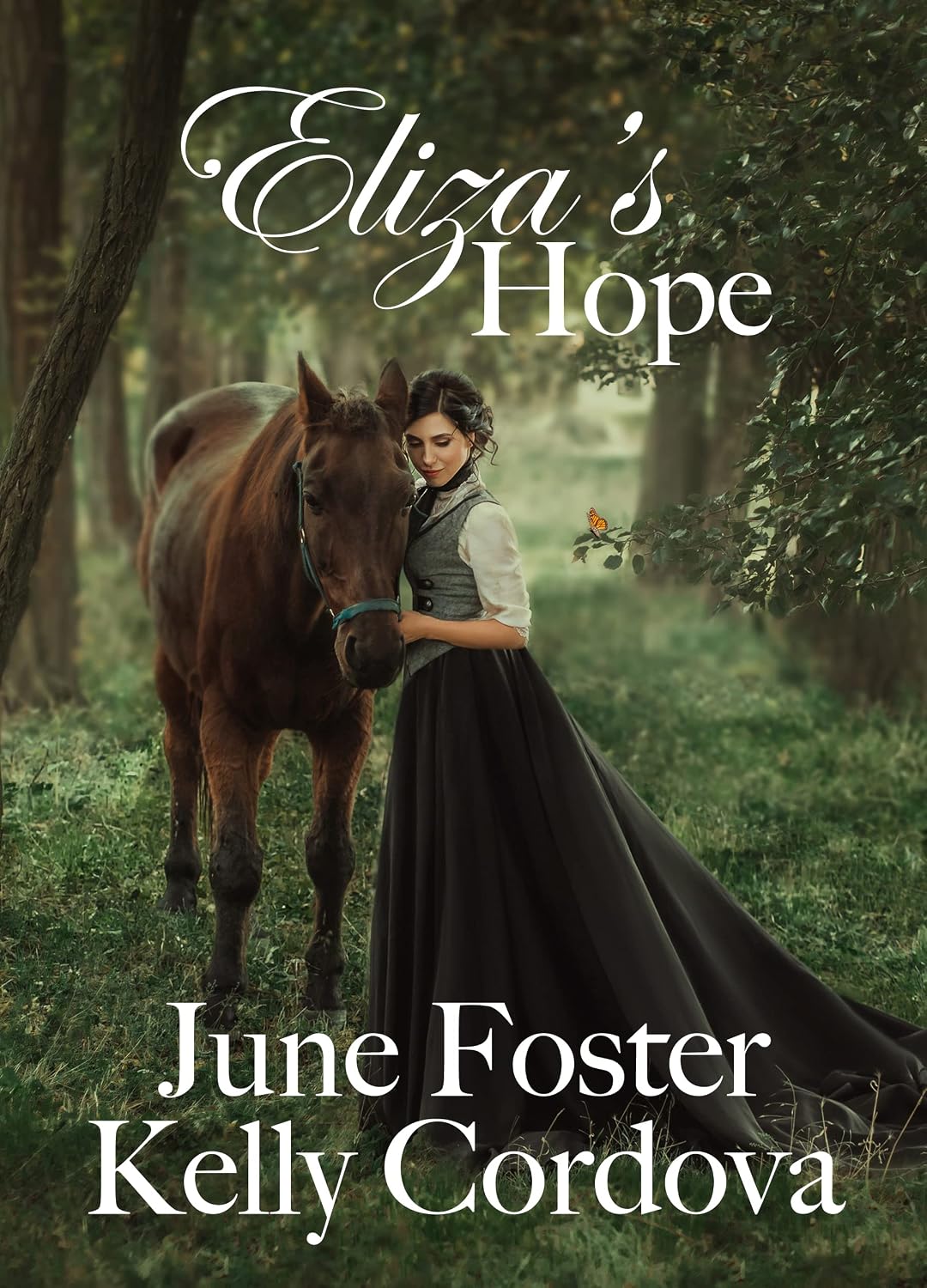 Eliza’s Hope by June Foster book cover