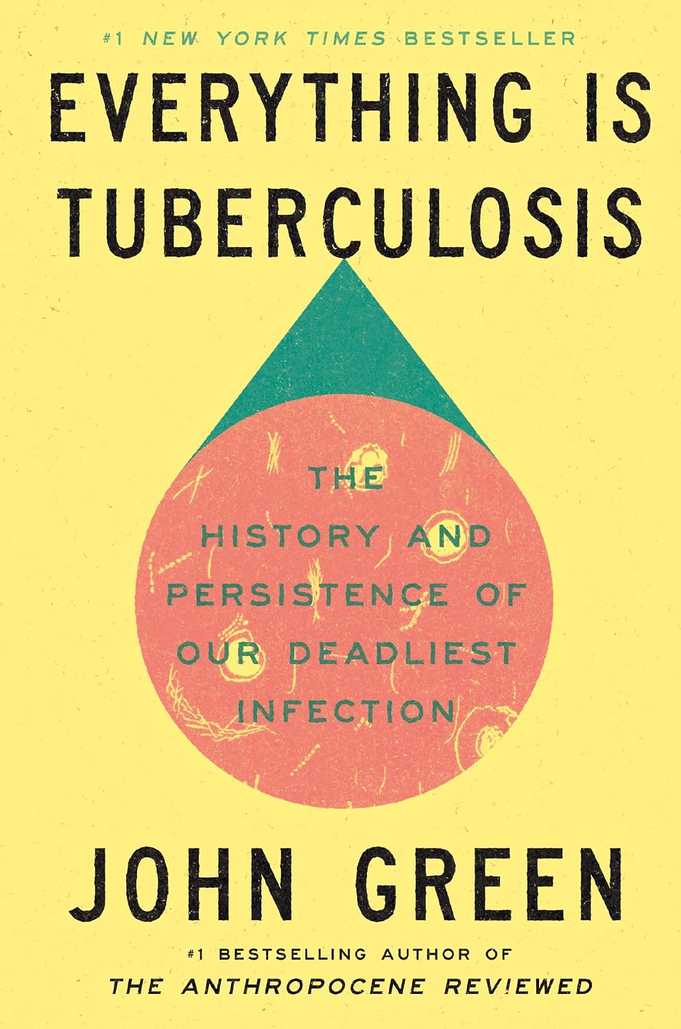 Everything Is Tuberculosis by John Green book cover