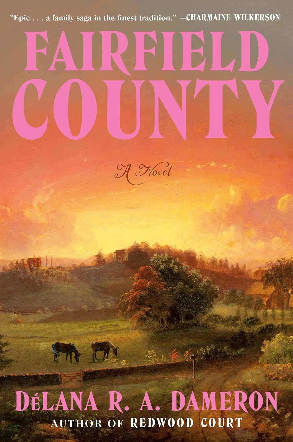 Fairfield County by DéLana R. A. Dameron book cover