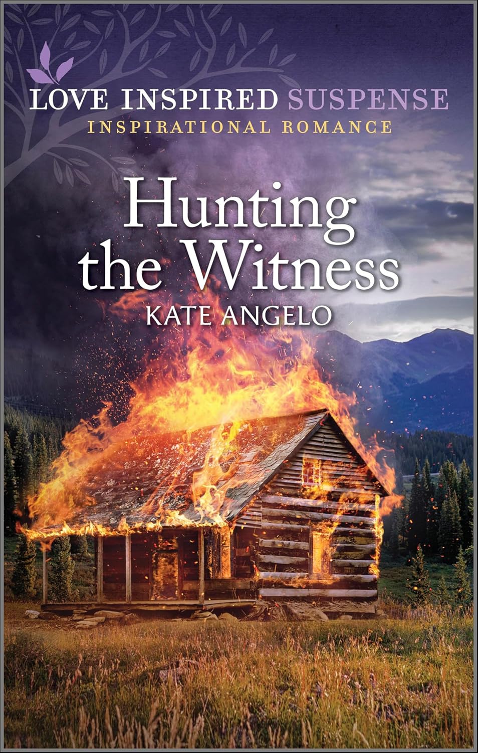 Hunting the Witness by Kate Angelo book cover