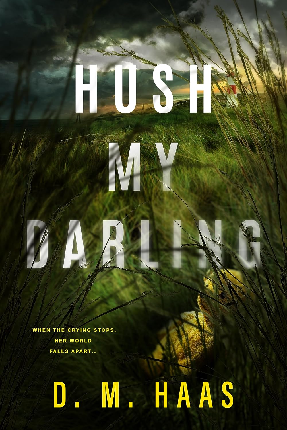 Hush My Darling by Danielle M. Haas book cover