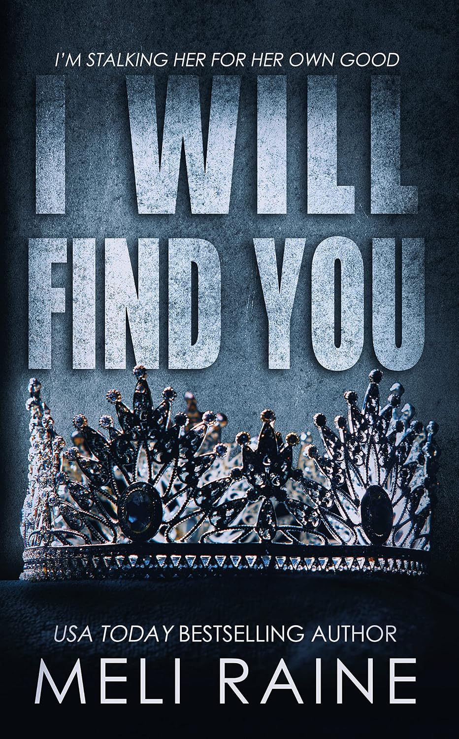 I Will Find You by Meli Raine book cover