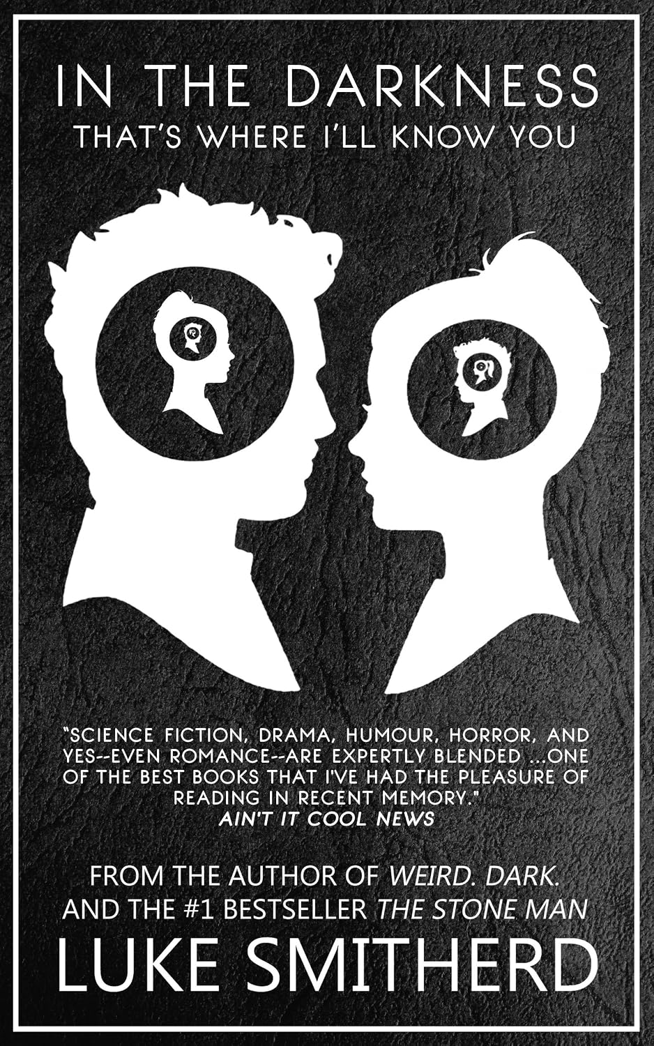 In the Darkness by Luke Smitherd book cover