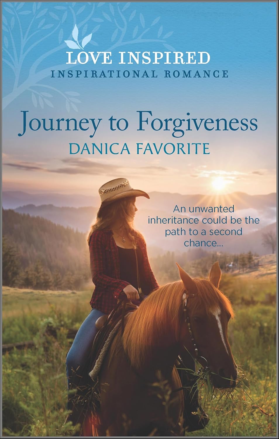Journey to Forgiveness by Danica Favorite book cover