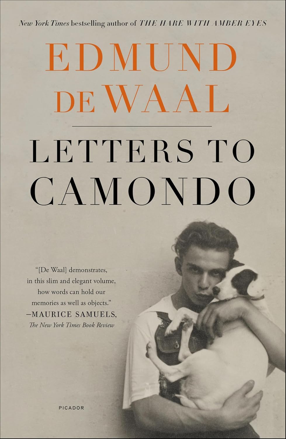 Letters to Camondo by Edmund de Waal book cover