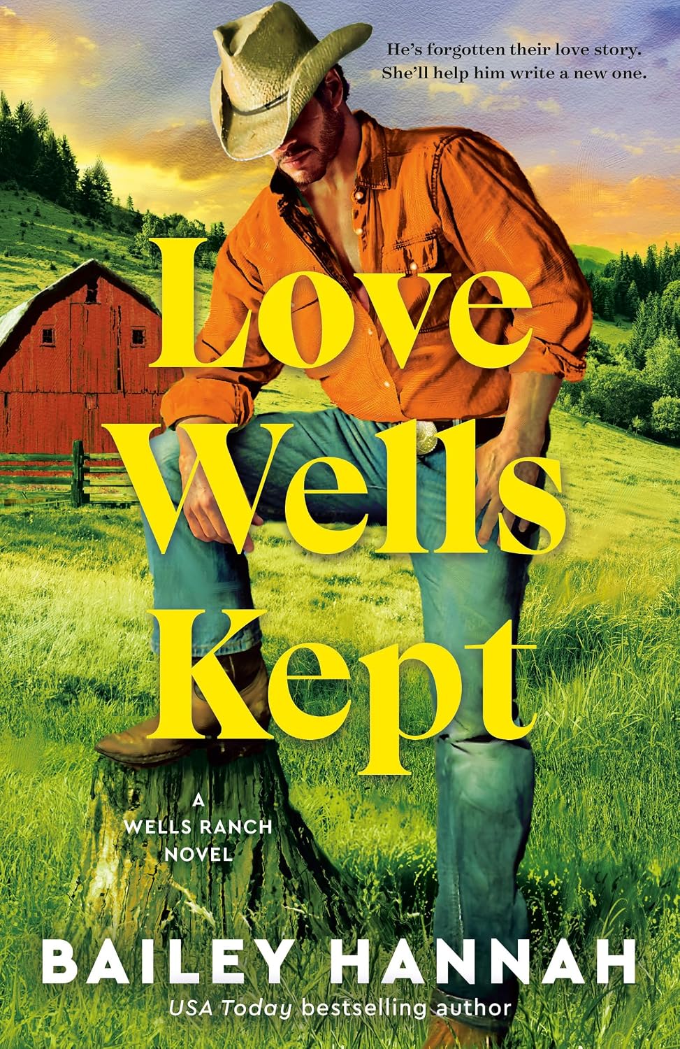 Love Wells Kept by Bailey Hannah book cover
