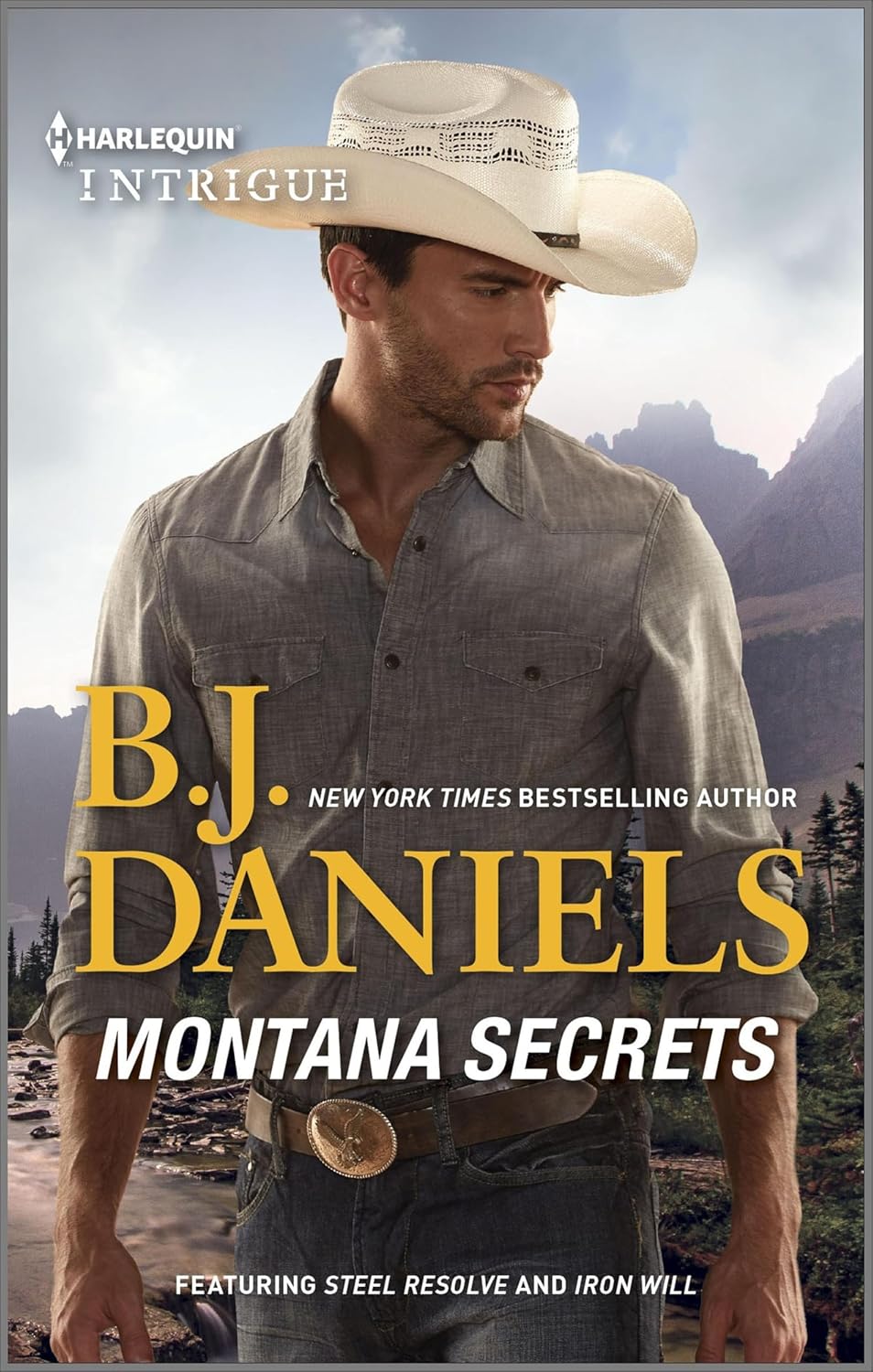 Montana Secrets by B.J. Daniels book cover