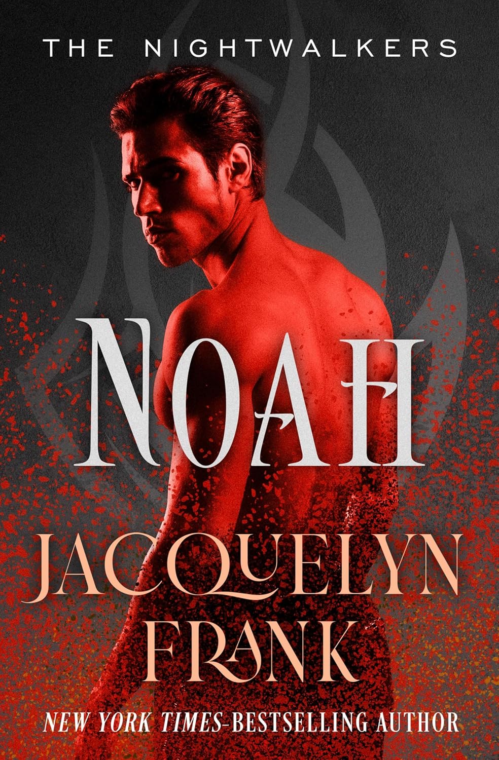 Noah by Jacquelyn Frank book cover