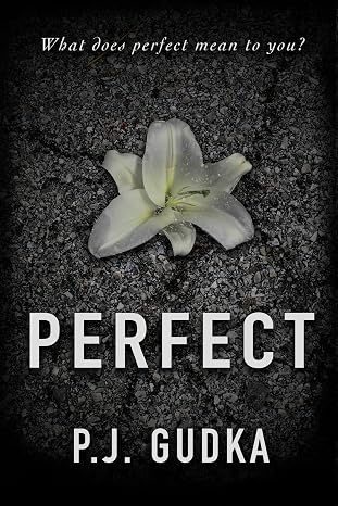 Perfect by P. J. Gudka book cover