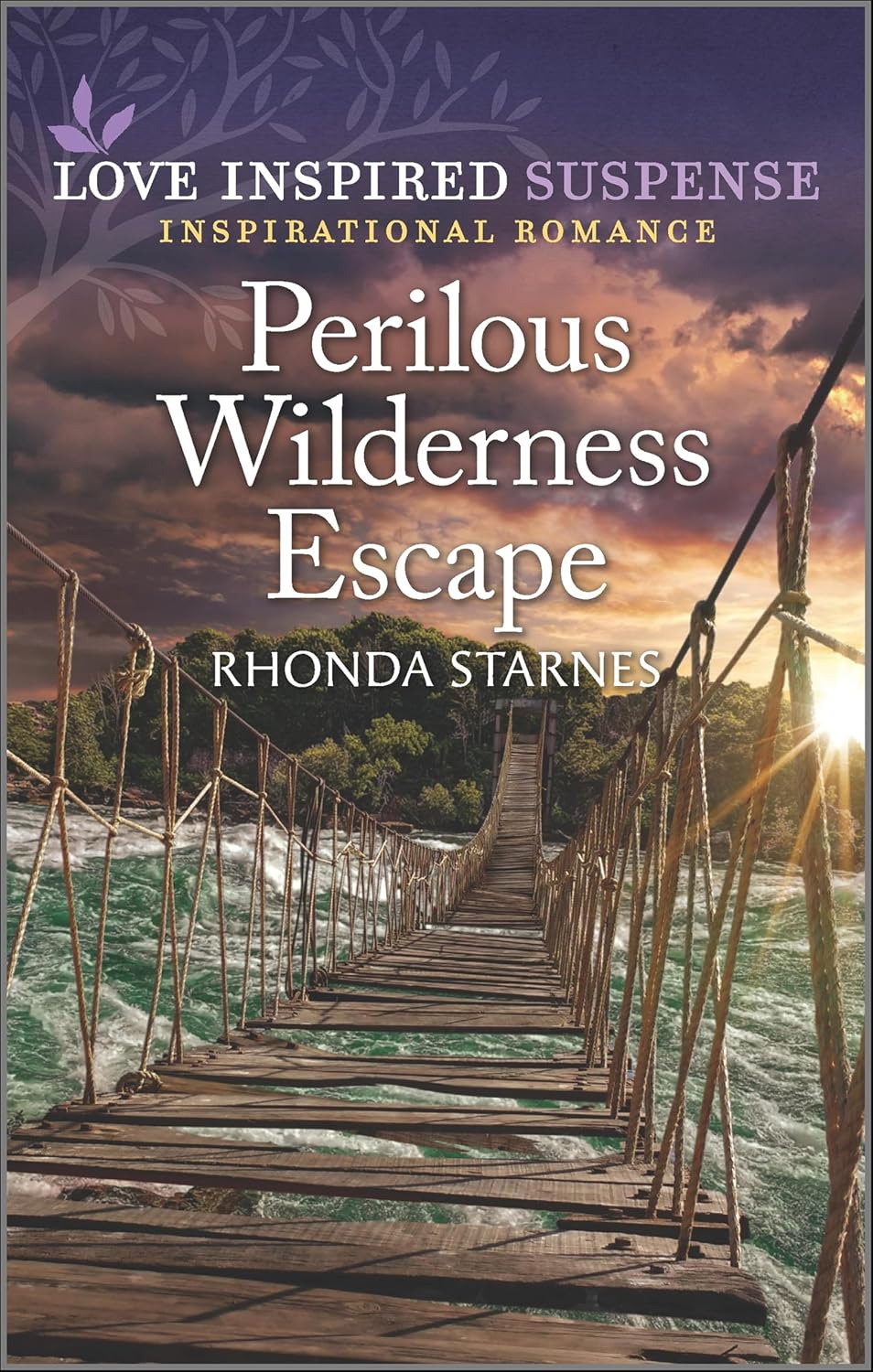 Perilous Wilderness Escape by Rhonda Starnes book cover