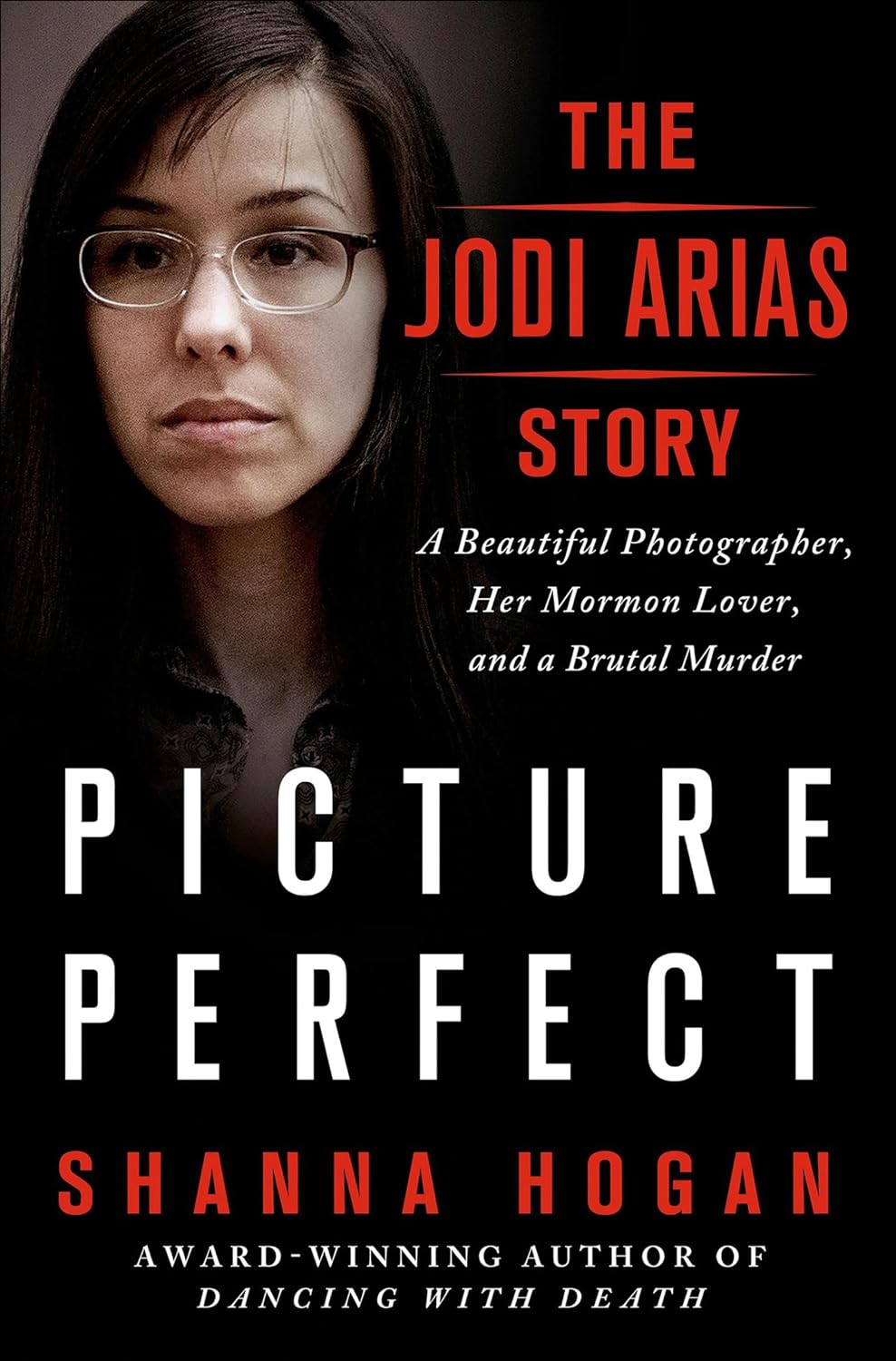 Picture Perfect by Shanna Hogan book cover