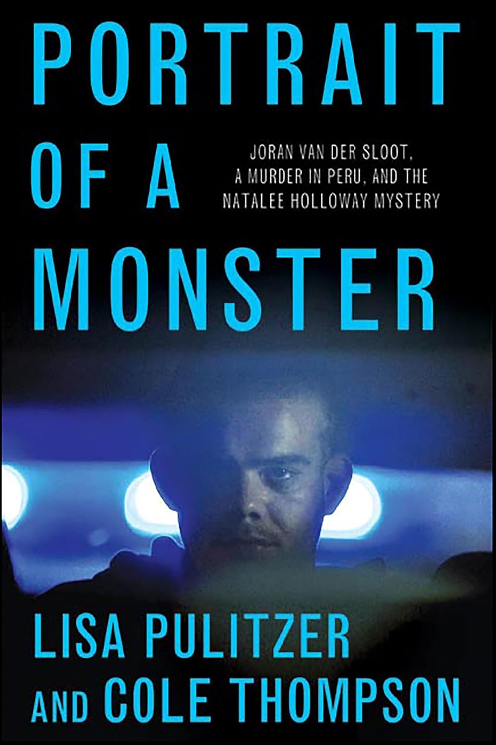 Portrait of a Monster by Lisa Pulitzer book cover