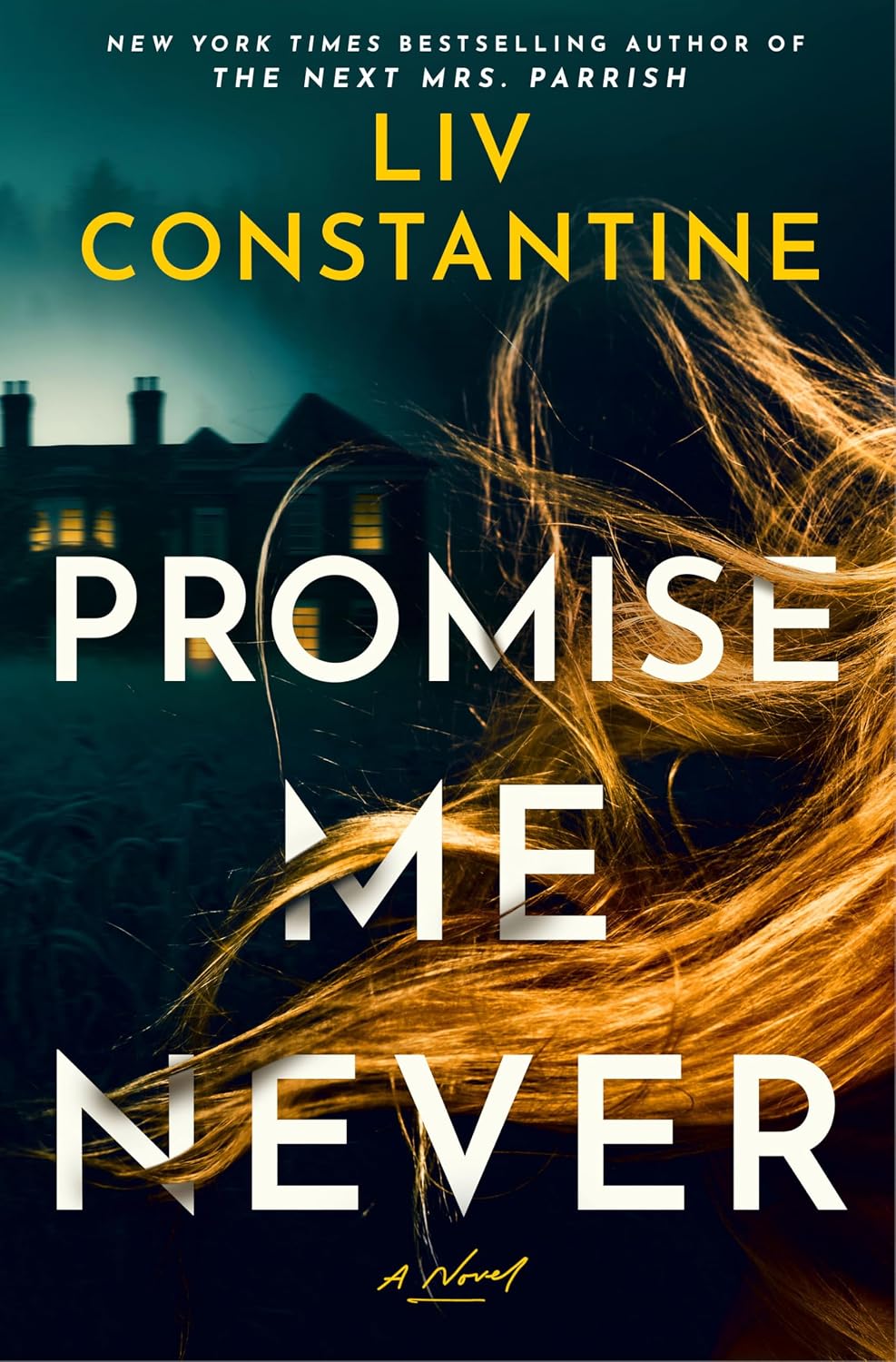 Promise Me Never by Liv Constantine book cover