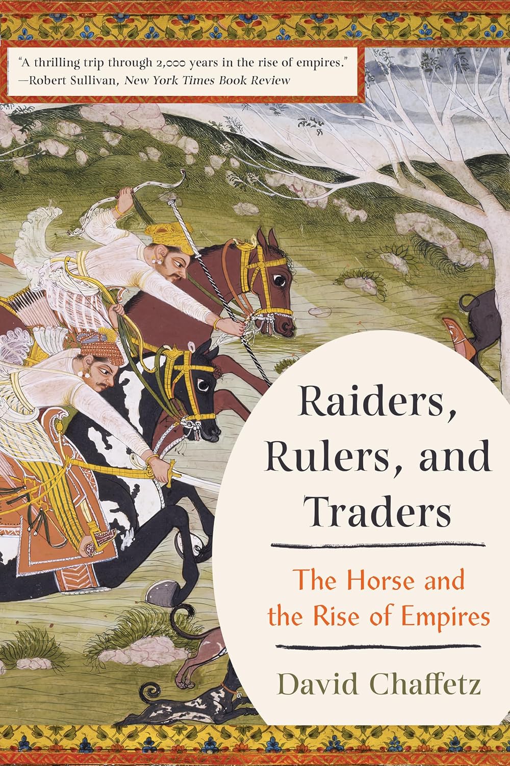 Raiders, Rulers, and Traders by David Chaffetz book cover