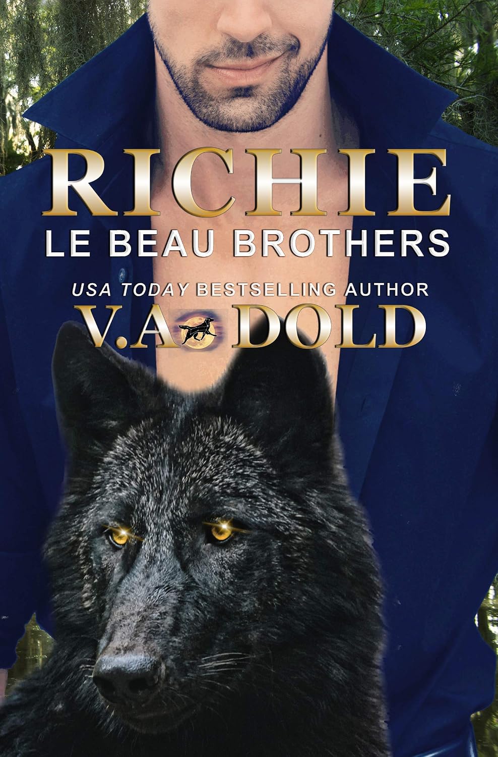 Richie by V.A. Dold book cover