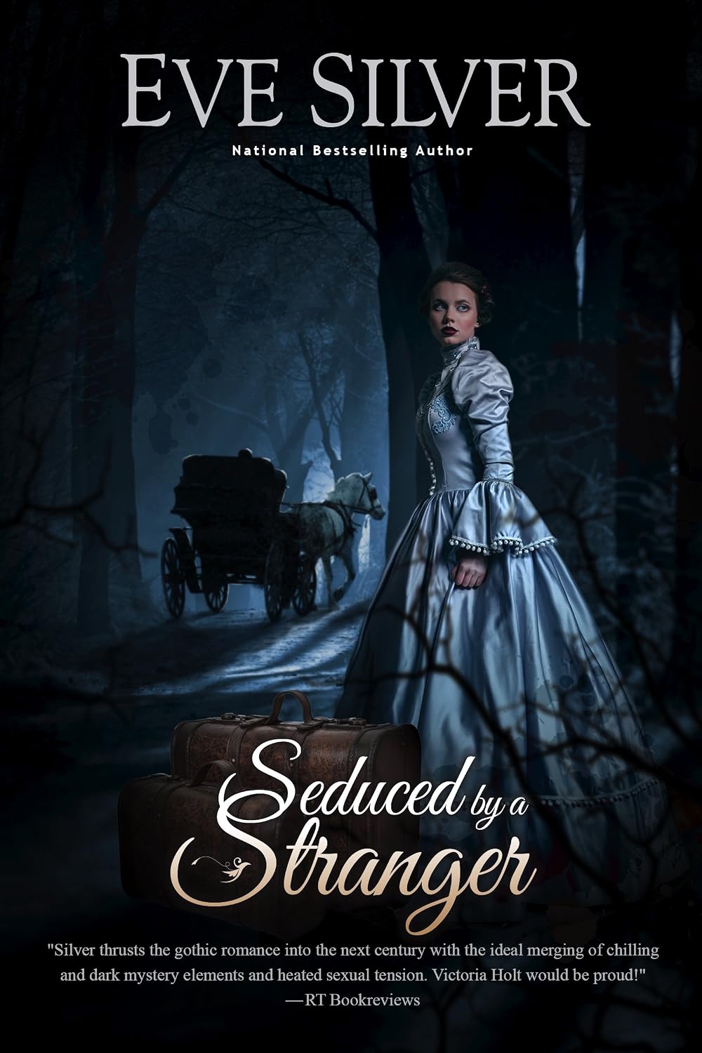 Seduced by a Stranger by Eve Silver book cover
