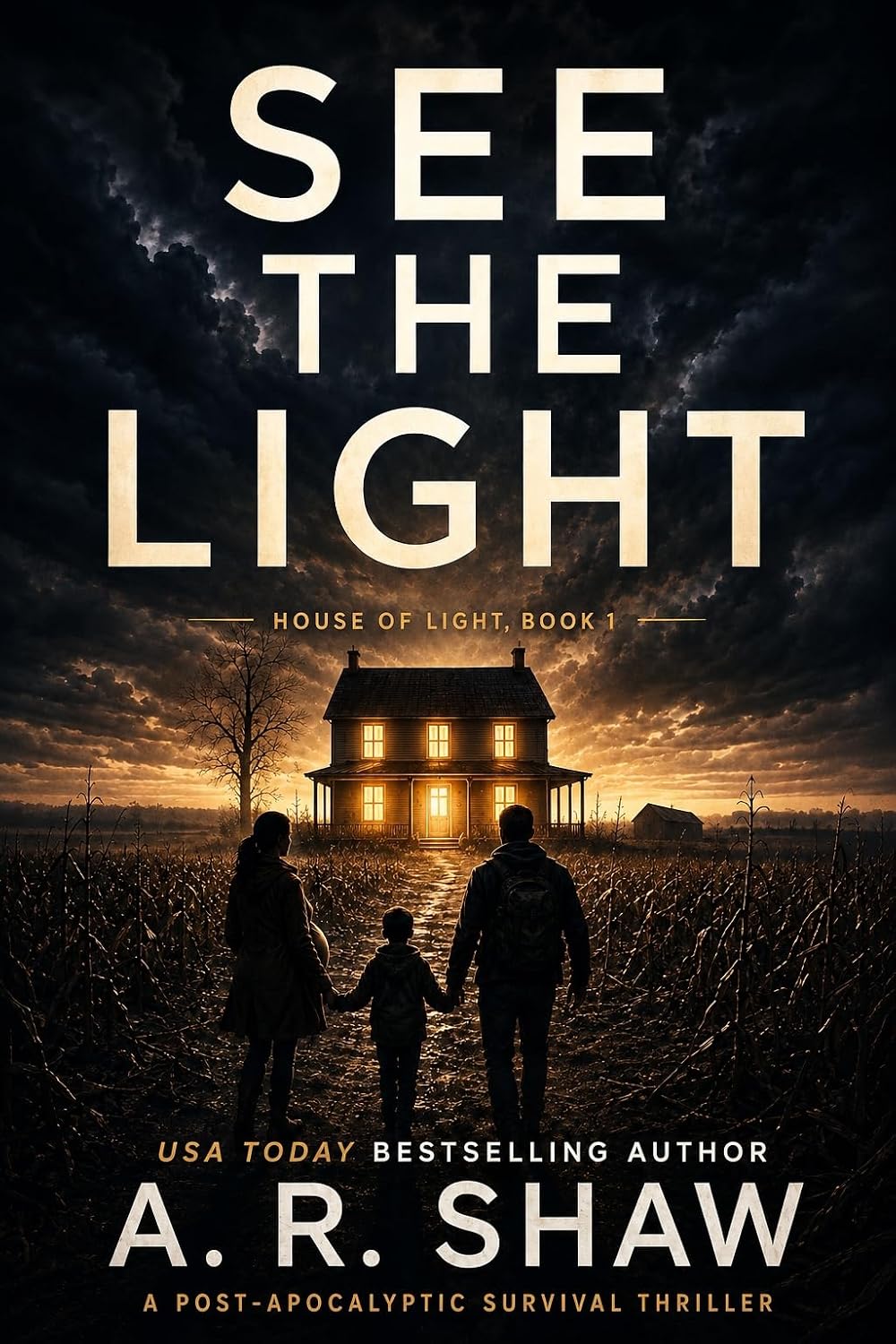 See the Light by A. R. Shaw book cover