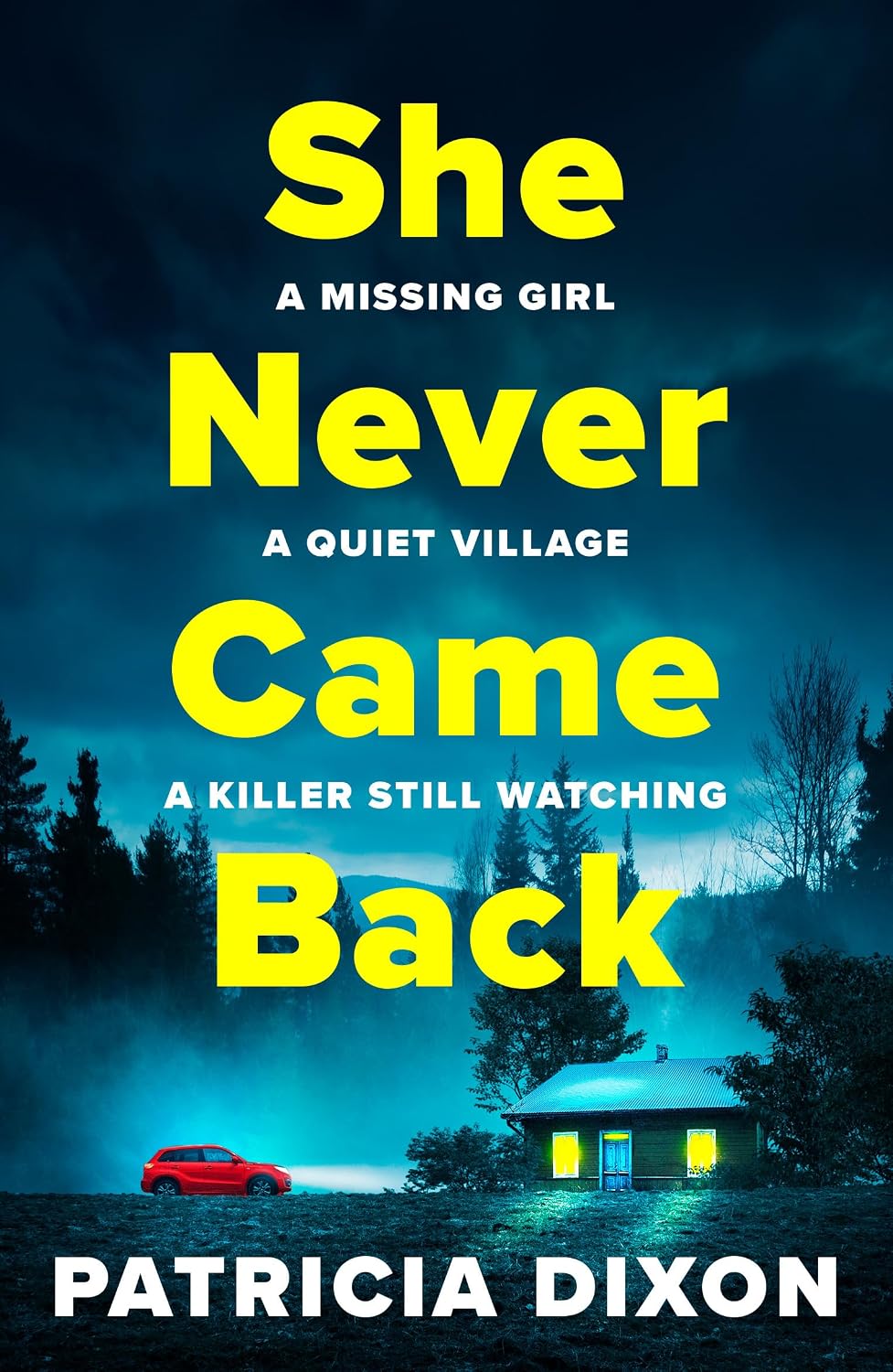 She Never Came Back by Patricia Dixon book cover