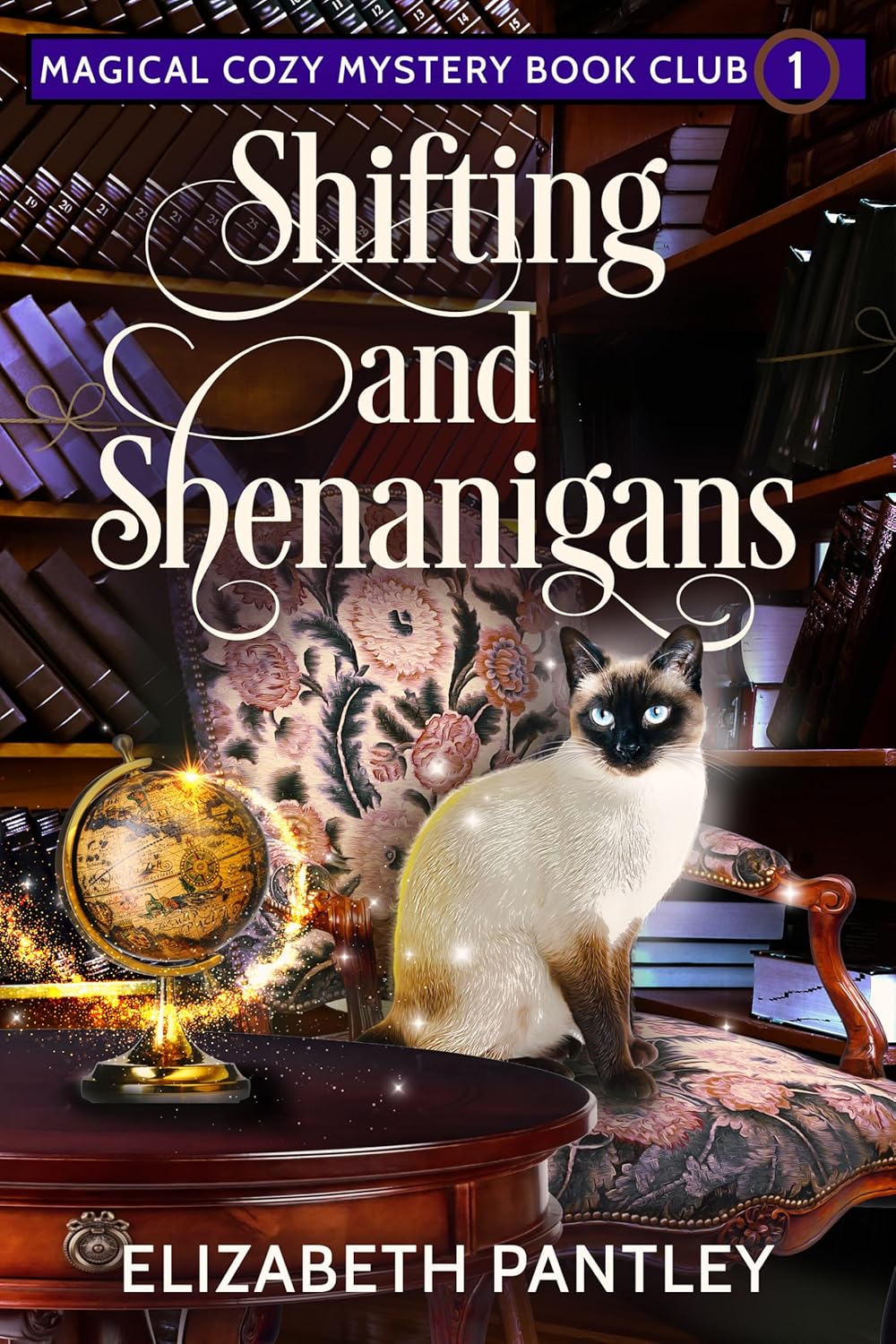 Shifting and Shenanigans by Elizabeth Pantley book cover