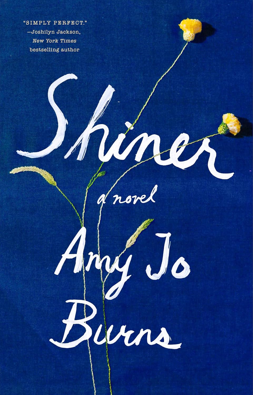 Shiner by Amy Jo Burns book cover