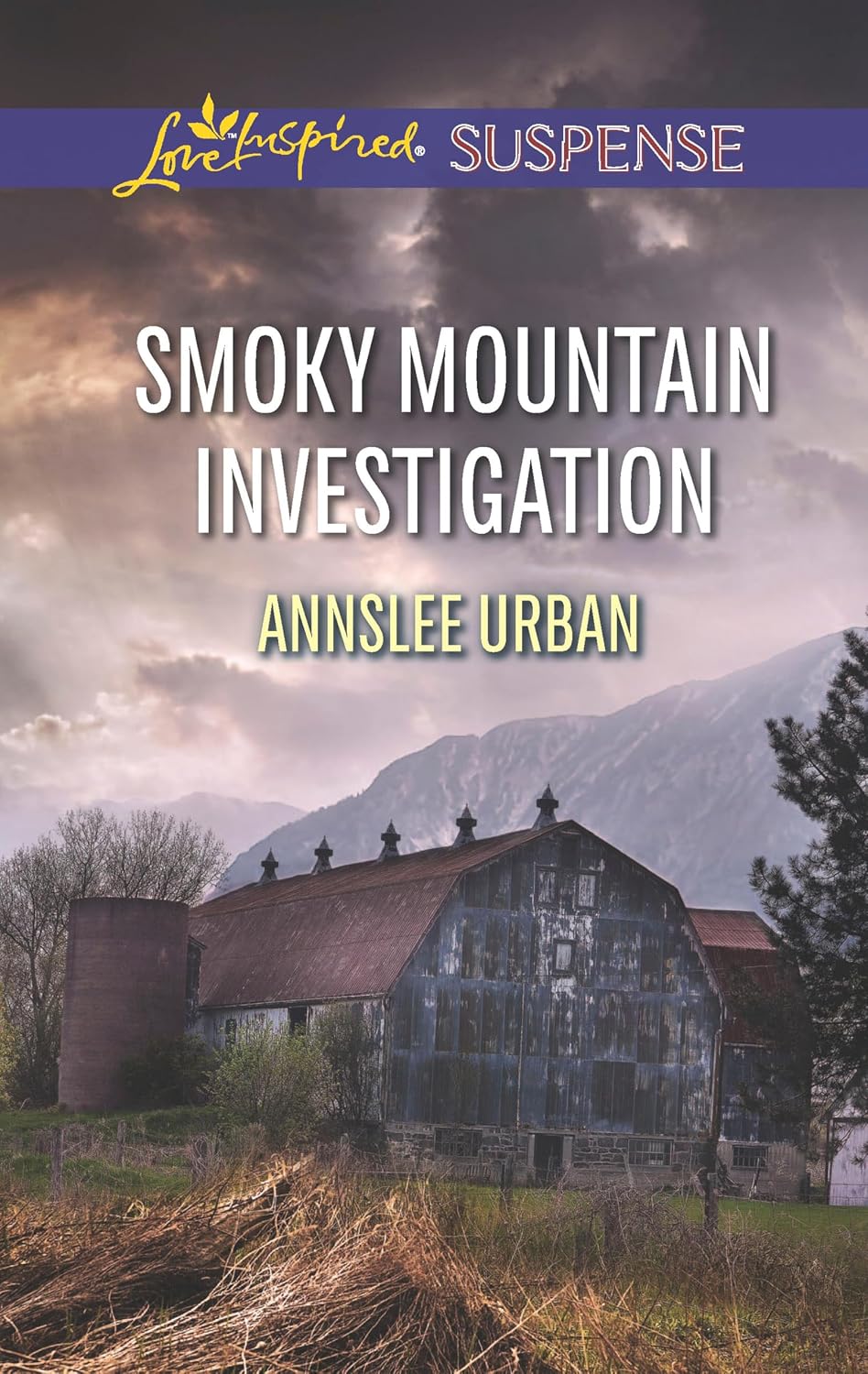 Smoky Mountain Investigation by Annslee Urban book cover