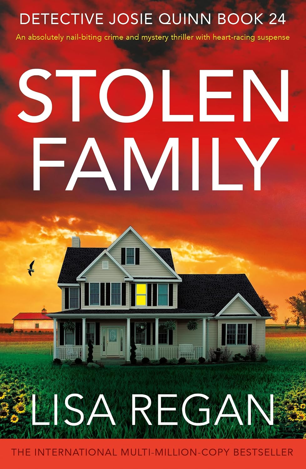 Stolen Family by Lisa Regan book cover
