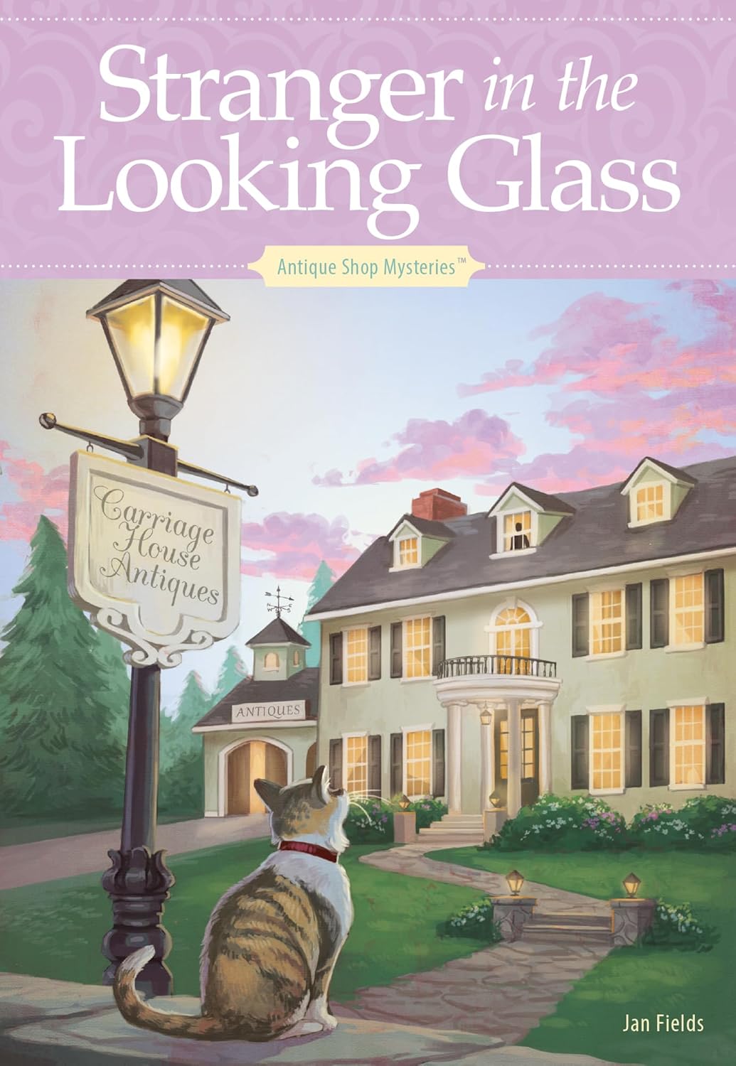 Stranger in the Looking Glass by Jan Fields book cover