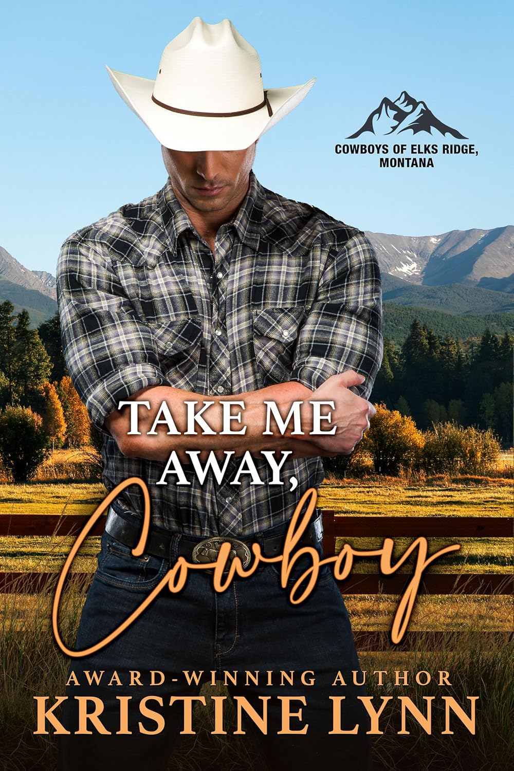 Take Me Away, Cowboy by Kristine Lynn book cover