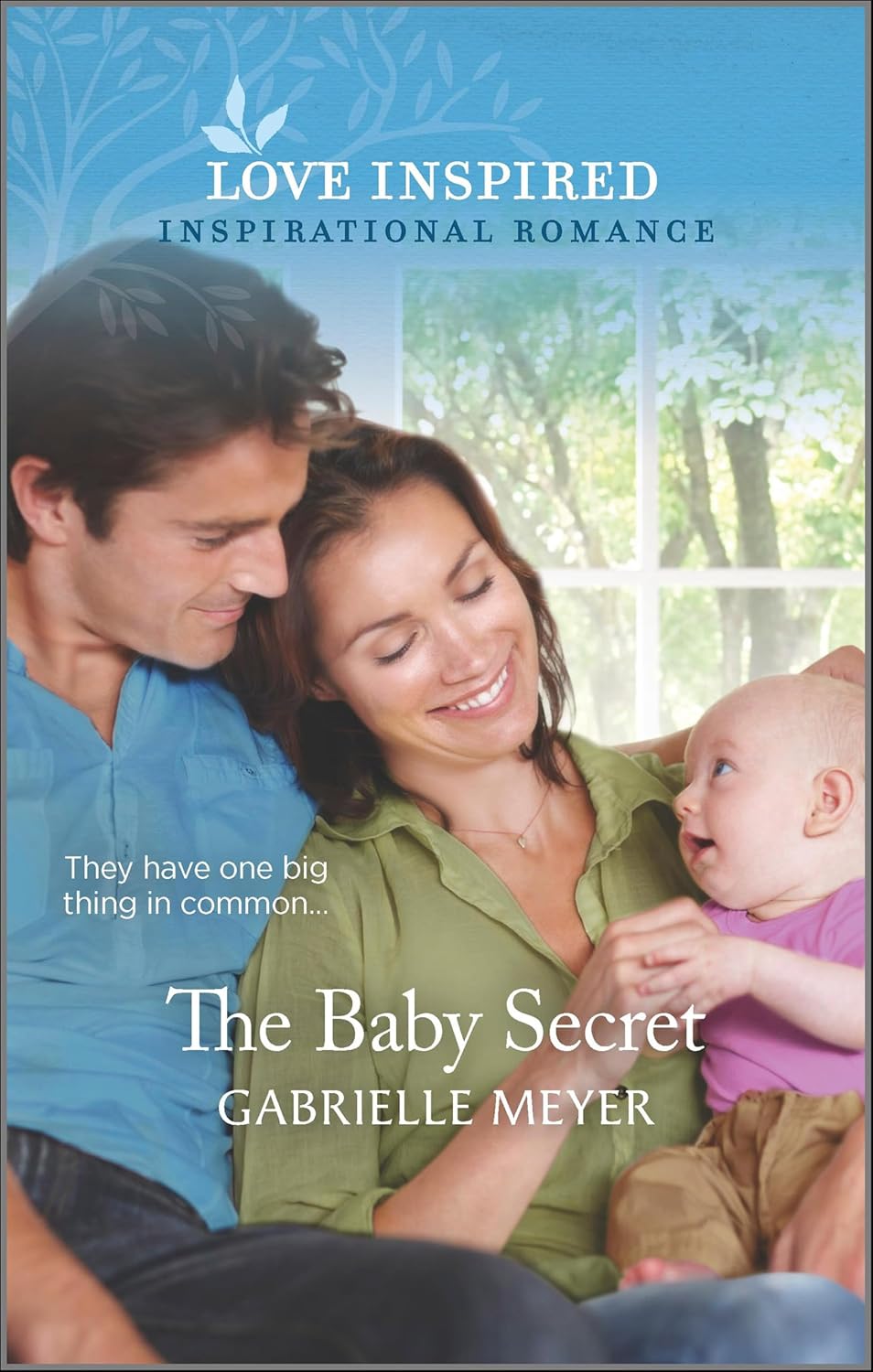 The Baby Secret by Gabrielle Meyer book cover