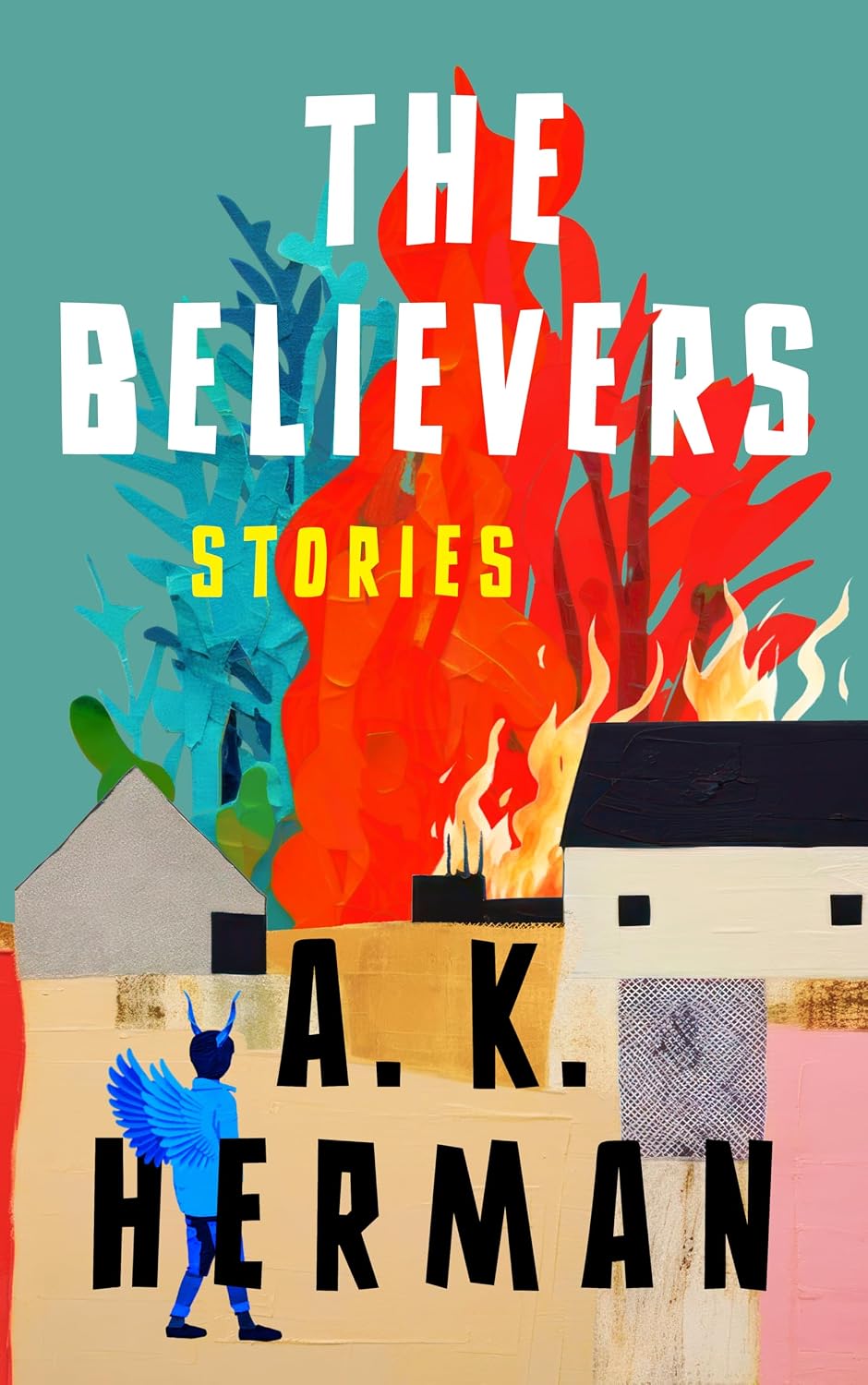 The Believers by A. K.  Herman book cover