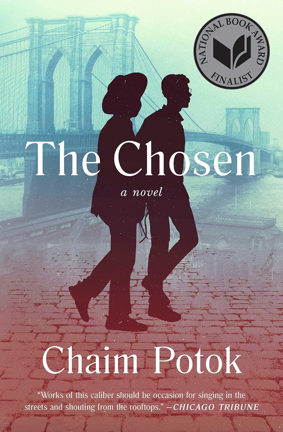 The Chosen by Chaim Potok book cover