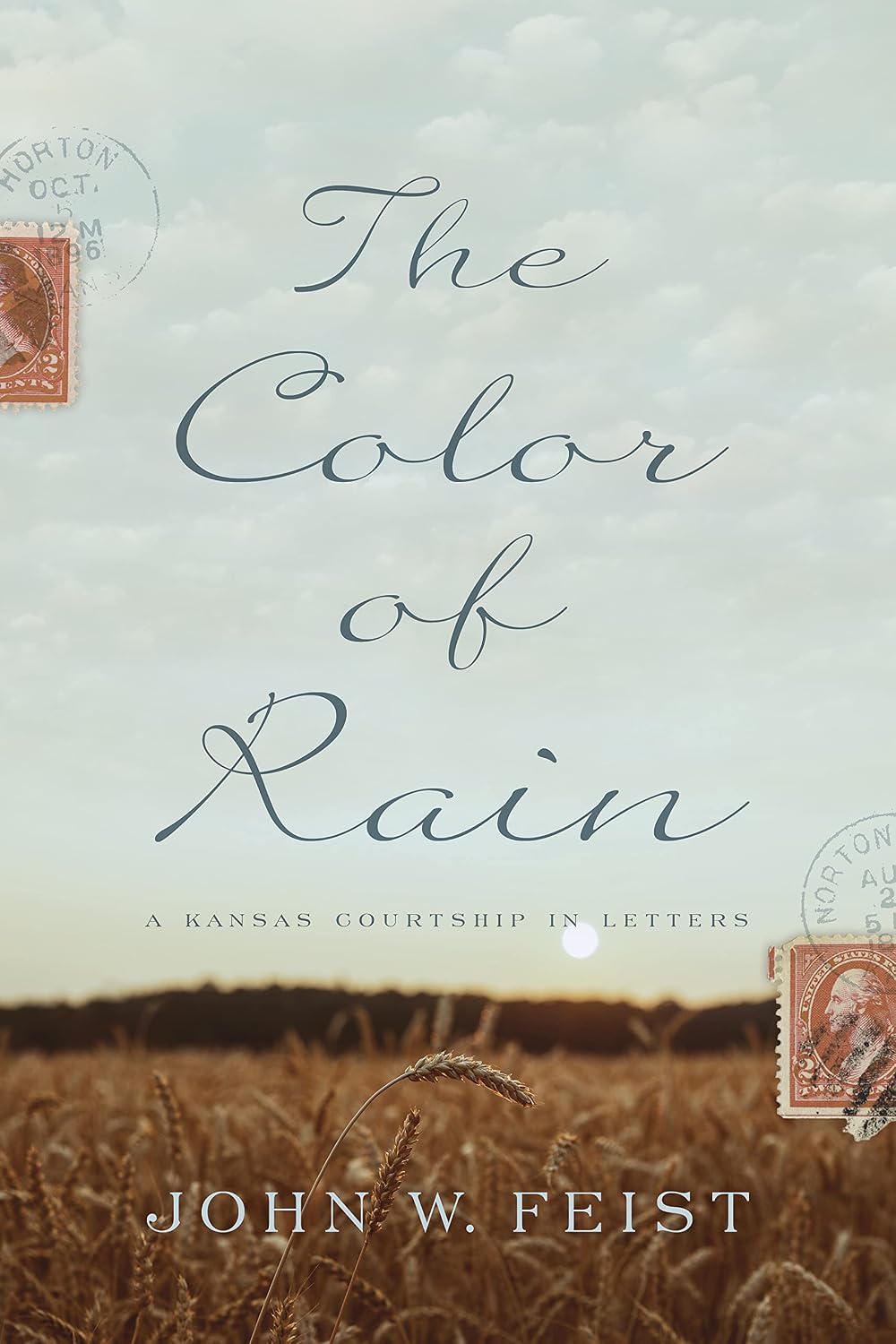 The Color of Rain by John W. Feist book cover