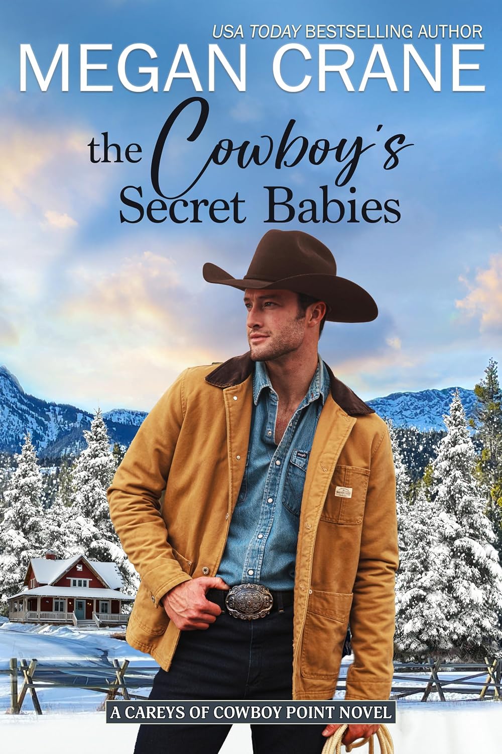 The Cowboy’s Secret Babies by Megan Crane book cover