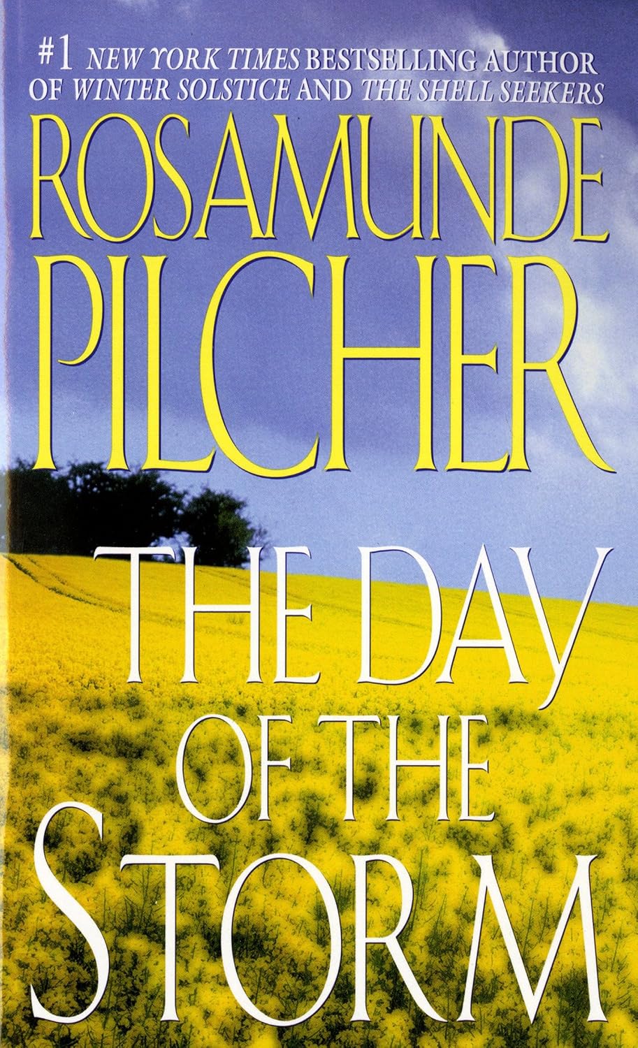 The Day of the Storm by Rosamunde Pilcher book cover