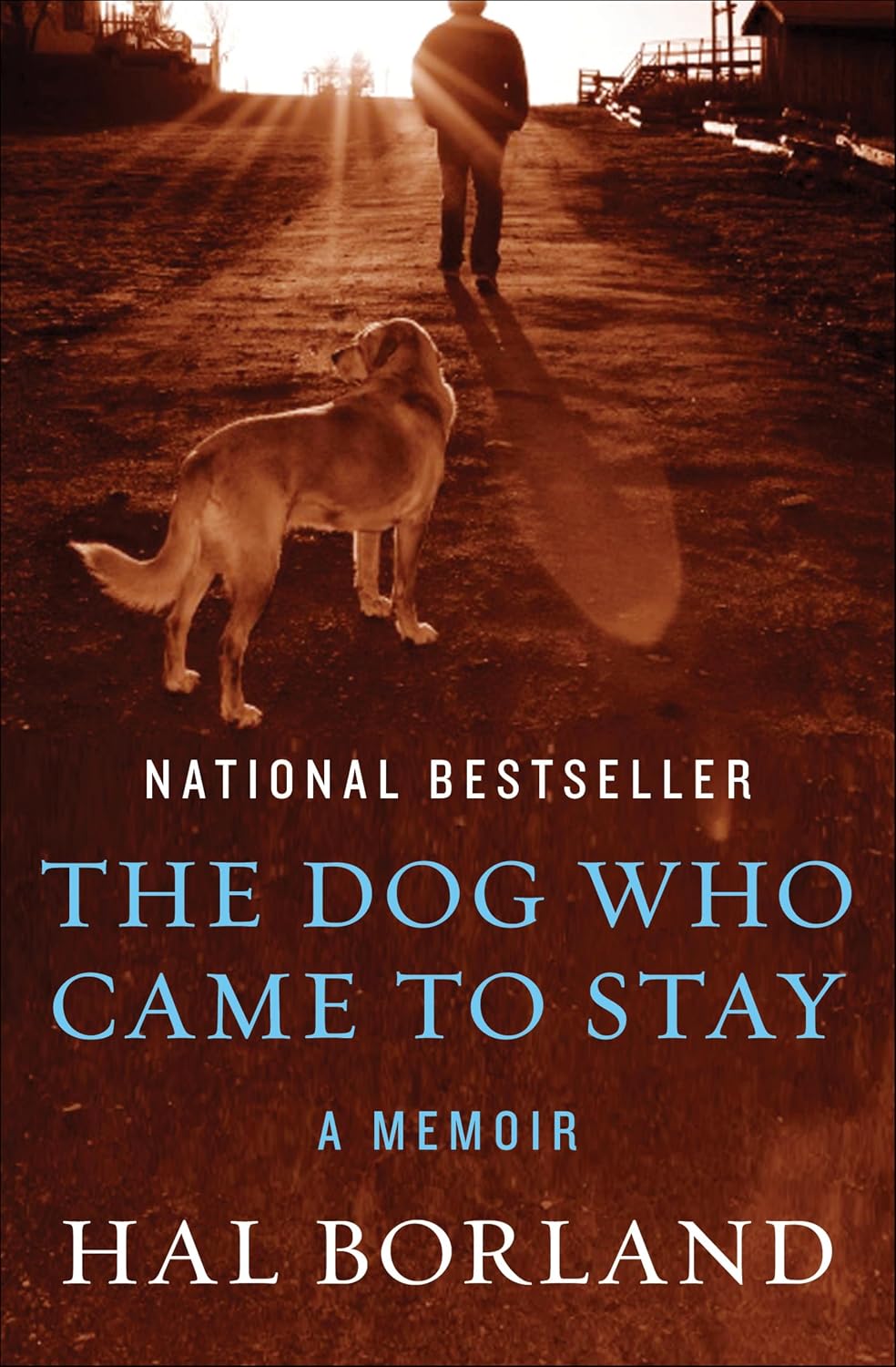 The Dog Who Came to Stay by Hal Borland book cover