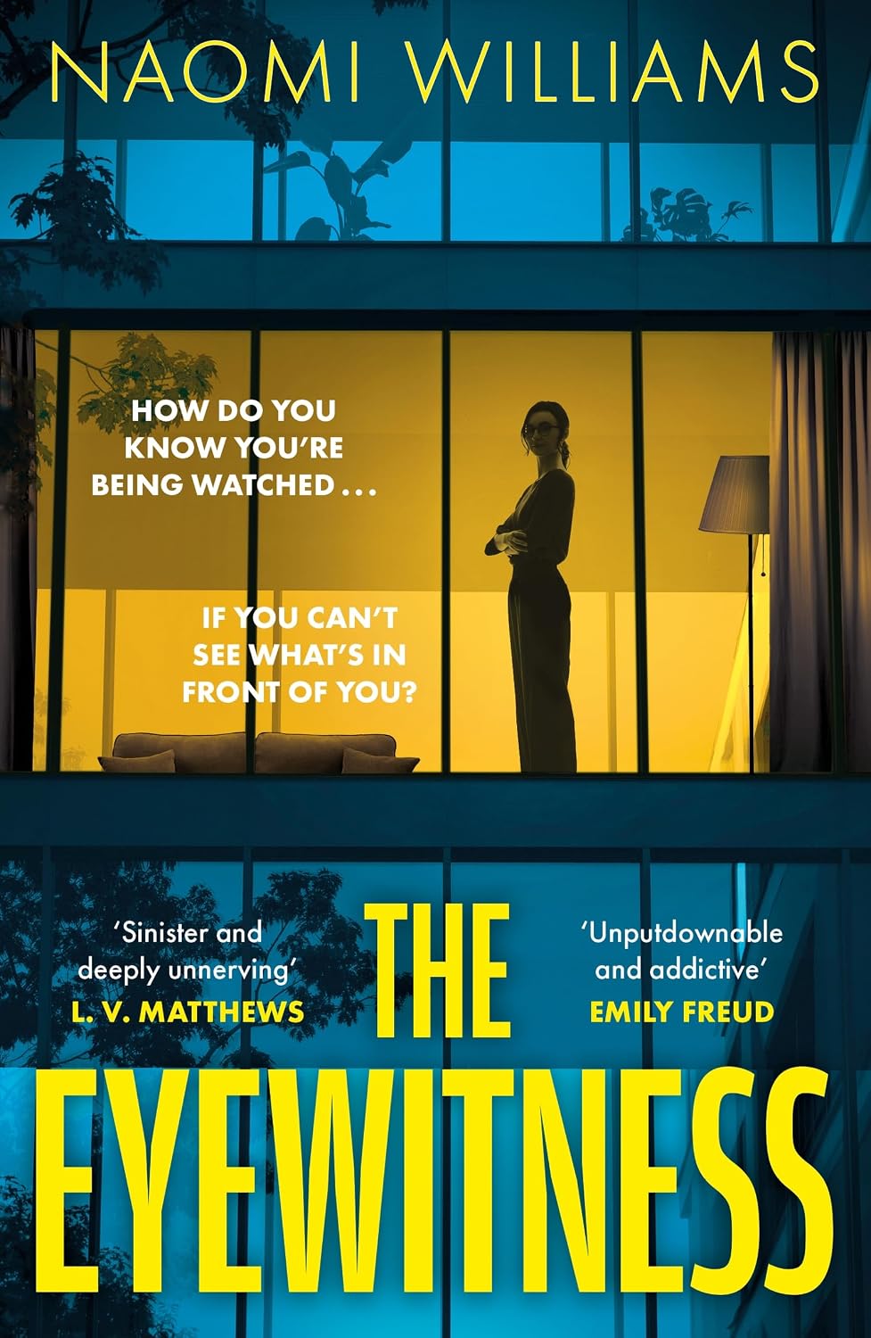 The Eyewitness by Naomi Williams book cover