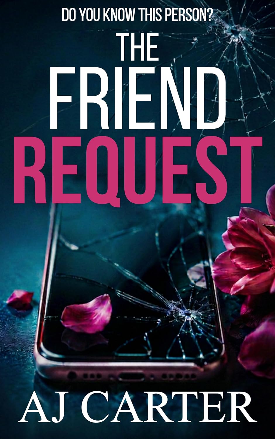 The Friend Request by AJ Carter book cover