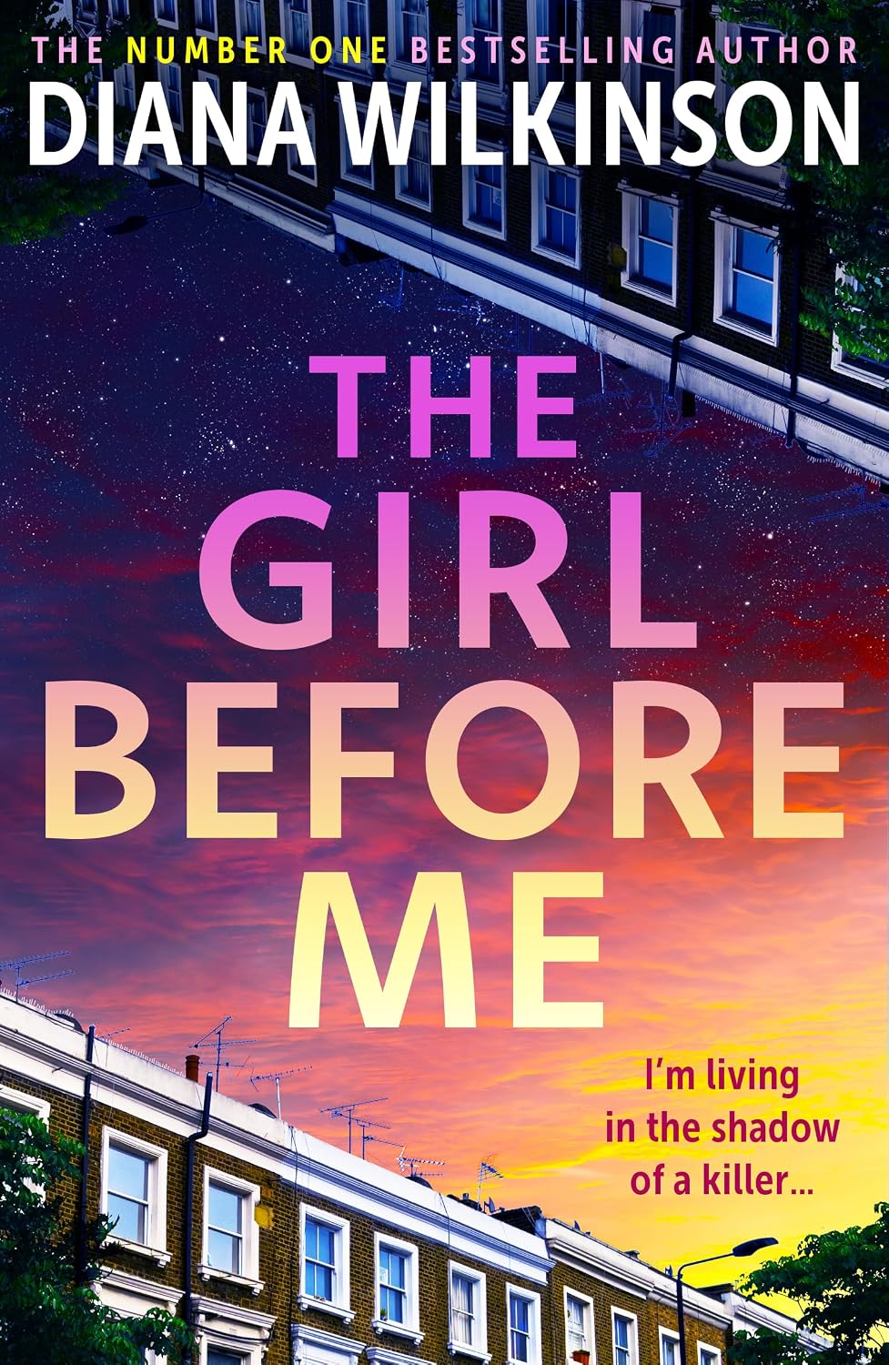 The Girl Before Me by Diana Wilkinson book cover