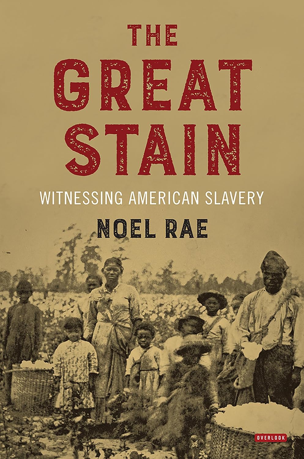The Great Stain by Noel Rae book cover